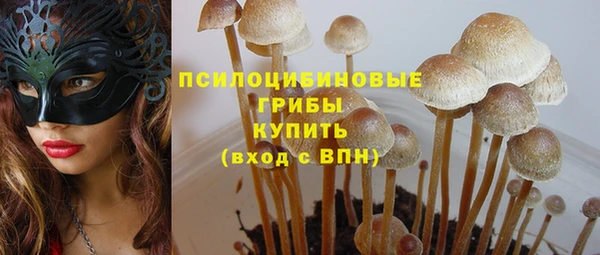 мяу мяу мука Саяногорск