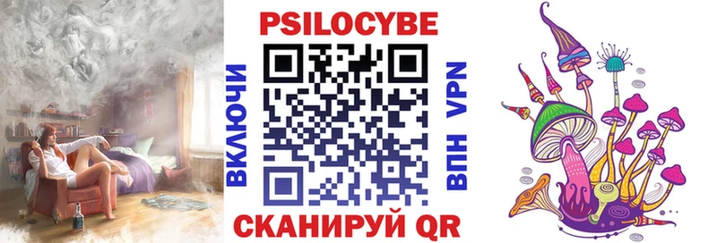 Галлюциногенные грибы Psilocybe  ссылка на мегу как войти  Кудымкар 
